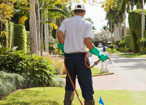 About Whitten IA Pest Control Pros